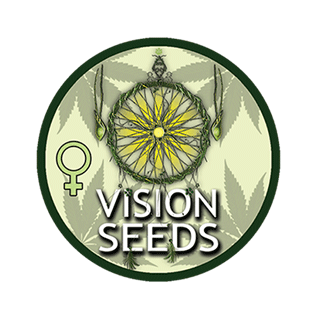 Vision Seeds